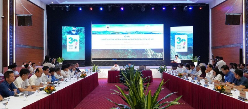 Le vice-président permanent du Comité populaire de la province de Quang Tri, Hoang Nam, a jugé nécessaire d’élargir les programmes de coopération entre sa province et WWF Vietnam tant en ampleur qu’en profondeur, afin de répondre aux nouveaux défis et de viser des objectifs stratégiques à long terme. Photo : quangtri.gov.vn Le vice-président permanent du Comité populaire de la province de Quang Tri, Hoang Nam, a jugé nécessaire d’élargir les programmes de coopération entre sa province et WWF Vietnam tant en ampleur qu’en profondeur, afin de répondre aux nouveaux défis et de viser des objectifs stratégiques à long terme. Photo : quangtri.gov.vn