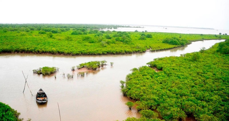 Le parc national de Xuan Thuy couvre une superficie de 12 000 hectares à l’estuaire du fleuve Rouge. La zone noyau de 7 100 hectares abrite 120 espèces végétales, plus de 500 espèces animales, 30 reptiles et amphibiens. Photo : NDEL xt3.jpg