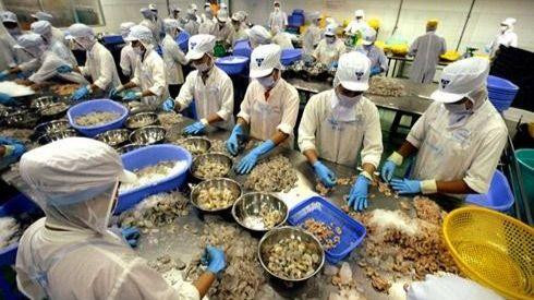 Les échanges commerciaux Vietnam-Afrique du Sud devraient atteindre 1,3 milliard de dollars en 2022. Photo : VNA.