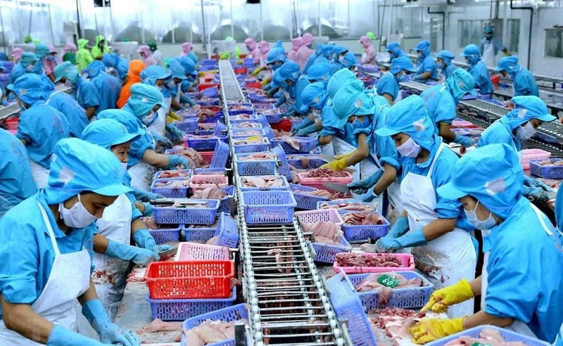 Le Vietnam exporte pour 10 milliards d'USD de produits aquatiques en 2024