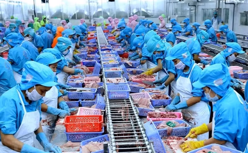 Le Vietnam exporte pour 10 milliards d'USD de produits aquatiques en 2024