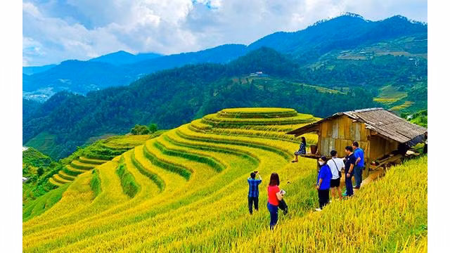 La beauté des rizières en terrasses aide Mù Cang Chai, province de Yên Bai à attirer les touristes. Photo : NDEL. La beauté des rizières en terrasses aide Mù Cang Chai, province de Yên Bai à attirer les touristes. Photo : NDEL.