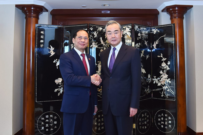 Le ministre vietnamien des Affaires étrangères, Bui Thanh Son (à gauche), et le membre du Bureau politique du Parti communiste chinois (PCC) et directeur du Bureau de la Commission centrale pour les Affaires étrangères du PCC, Wang Yi. Photo: thoidai