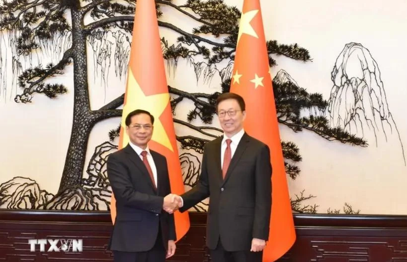 Le vice-Premier ministre et ministre des Affaires étrangères du Vietnam, Bui Thanh Son (à gauche) et le vice-président chinois Han Zheng. Photo : VNA.