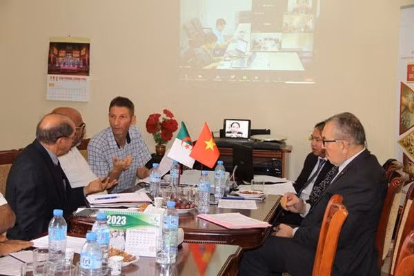 Séminaire en ligne sur la plateforme Zoom. Photo : VNA.