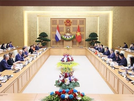 Le Premier ministre Pham Minh Chinh (droite) s'entretient à Hanoi avec avec son homologue néerlandais Mark Rutte. Photo: VNA