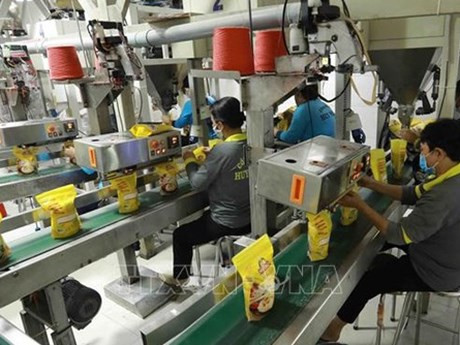 Les exportations agricoles du Vietnam vers l’Afrique ont dépassé 950 millions de dollars l’année dernière. Photo d'illustration : VNA