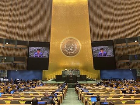 L'ambassadeur Dang Hoàng Giang, chef de la Mission permanente du Vietnam auprès de l'ONU, prend la parole. Photo : VNA.