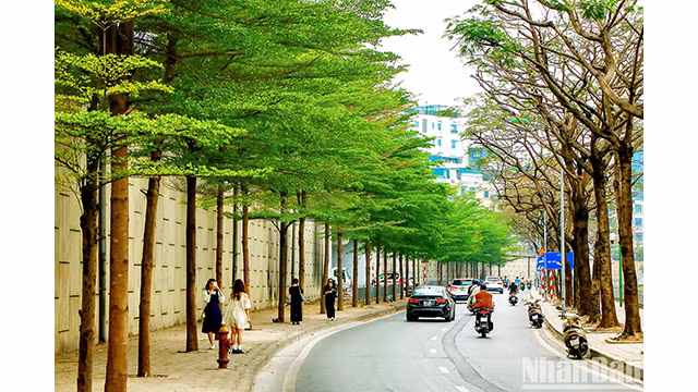 C'est aussi un lieu familier de photographie pour les jeunes, captant de beaux moments de printemps. Photo : NDEL.