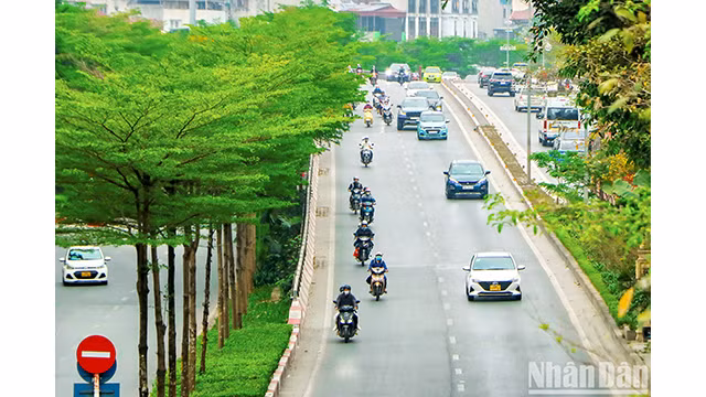 Les badamiers dans les entrées de la route périphérique 2. Photo : NDEL.