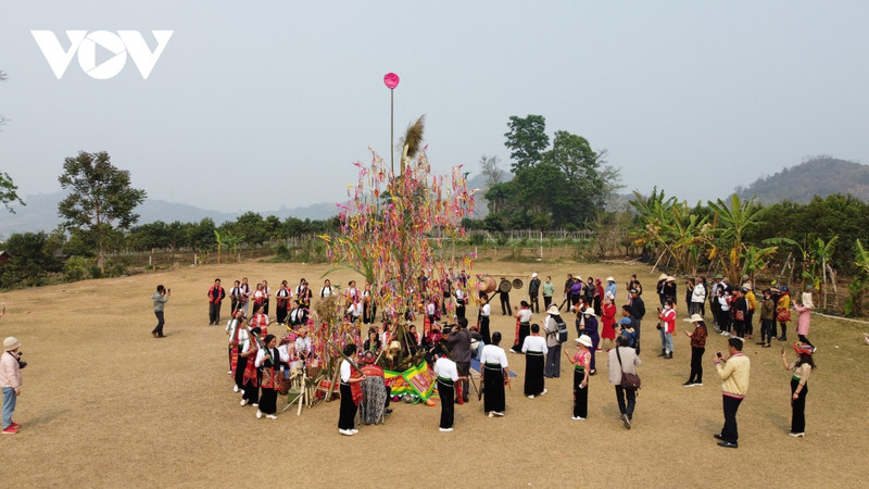 La fête de la prière pour la pluie des Thais blancs a lieu autour du cay van vat. Photo: VOV