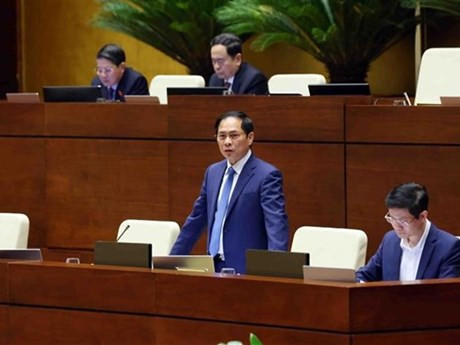  Le ministre des Affaires étrangères Bui Thanh Son. Photo : VNA