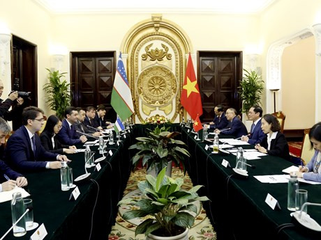 Lors de l'entretien entre le ministre vietnamien des Affaires étrangères Bùi Thanh Son et son homologue ouzbèke, Bakhtiyor Saidov. Photo : VNA.