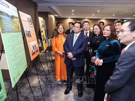 Le Premier ministre Pham Minh Chinh écoute une présentation sur les domaines de la VASEA. Photo : VNA.