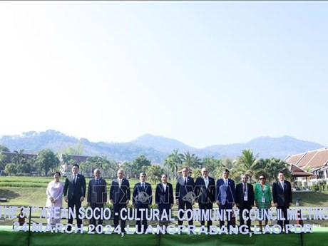 Les chefs des délégations des 10 pays membres de l'ASEAN et le Secrétaire général de l'ASEAN dans le cadre de l'événement. Photo : VNA.