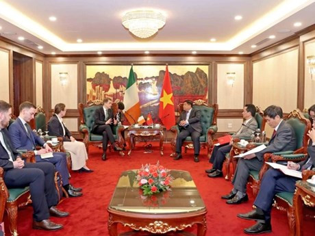 Le ministre du Plan et de l’Investissement, Nguyên Chi Dung (à droite, au centre) et le ministre d’État du ministère irlandais de la Justice, James Browne. Photo : VNA.