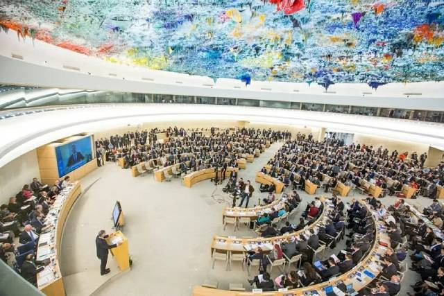 La 58e session du Conseil des droits de l’homme des Nations Unies s’est tenue pendant six semaines avec de nombreuses séances de travail. Photo : Elma Okic 