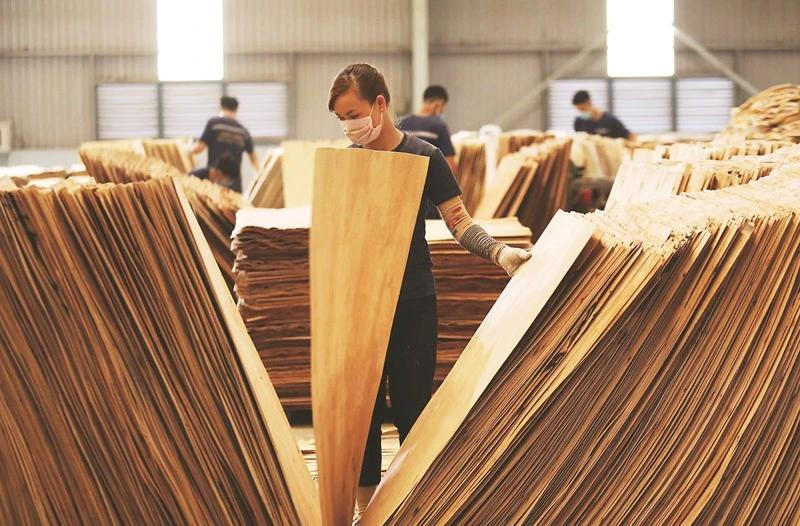 Ces dernières années, la filière bois vietnamienne a solidement affirmé sa position sur l'échiquier commercial mondial, grâce à un chiffre d'affaires à l'exportation impressionnant, mais aussi à un développement robuste et durable. Photo : vneconomy.vn
