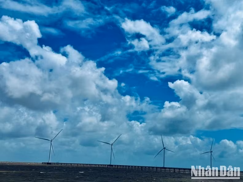 Le système d’énergie éolienne à Bac Liêu. Photo : nhandan.vn