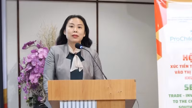 La directrice adjointe du Centre de promotion du commerce et de l'investissement de Hô Chi Minh-Ville, Hô Thi Quyên, a pris la parole lors du séminaire. Photo: nhandan.vn