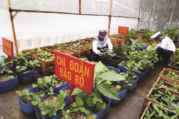 Soldats sur les îles de Truong Sa prenant soin des semis avant de les planter. Photo : VNA