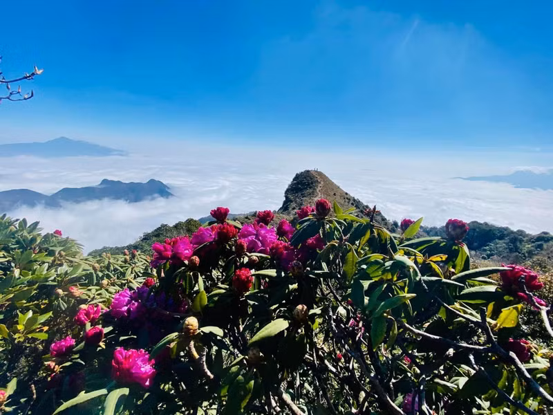 Des paysages naturels époustouflants et des nuages blancs flottant chaque saison de la « chasse aux nuages ». Photo: Laocaitourism.vn Des paysages naturels époustouflants et des nuages blancs flottant chaque saison de la « chasse aux nuages ». Photo: Laocaitourism.vn