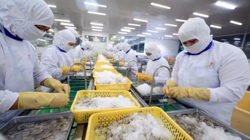 Le secteur de la pêche a besoin d’un nouvel élan de croissance face à de nombreux défis. Photo: congthuong.vn