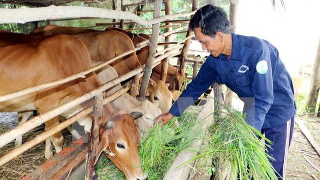 Le Vietnam compte 1 972 767 ménages souffrant de pauvreté multidimensionnelle