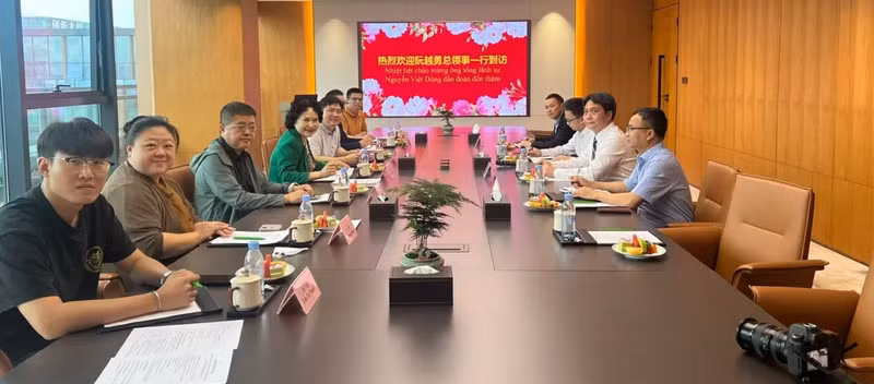 Une vue générale de la rencontre. Photo: baoquocte