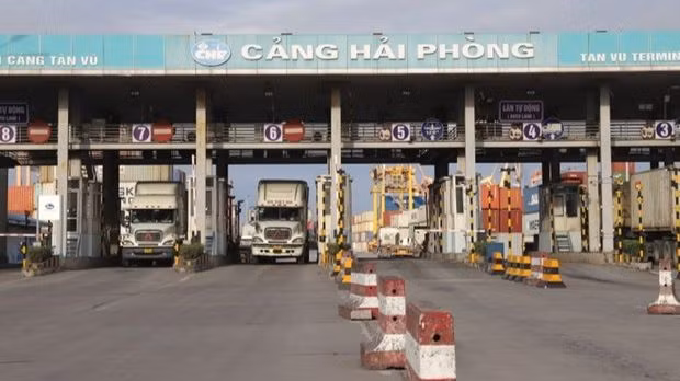 Au port Tân Vu. Photo: VOV