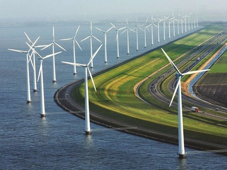 Modèle d'un projet d'énergie éolienne offshore. Photo: EVN