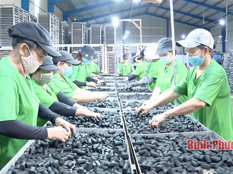 Photo d'illustration : baobinhphuoc.com.vn