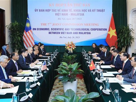 Le ministre des Affaires étrangères Bui Thanh Son (droite) et son homologue malaisien, Zambry Abd Kadir. Photo: VNA