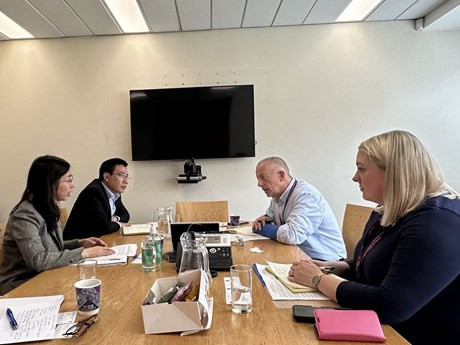 La séance de travail entre l'ambassadrice adjointe du Vietnam au Royaume-Uni, Tô Minh Thu, et Ian McKenna, chef du Département de la Coopération internationale du ministère irlandais de l'Enseignement supérieur, de la Recherche, de l'Innovation et de la Science. Photo : VNA.