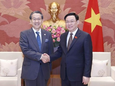Le Président de l’Assemblée nationale du Vietnam, Vuong Dinh Huê (à droite), reçoit à Hanoi Maeda Tadashi, conseiller spécial du Cabinet du Japon et directeur général, président du conseil d’administration de la Banque japonaise pour la Coopération internationale. Photo : VNA.