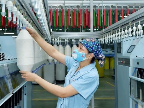 La BAD et un certain nombre d'institutions financières internationales revoient à la baisse leurs prévisions de croissance économique pour le Vietnam. Photo: VietnamPlus
