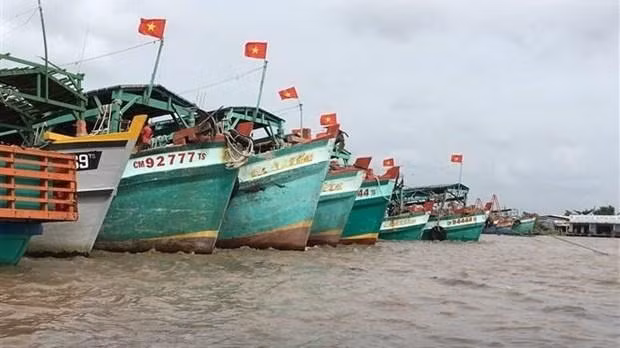 Des navires de pêche du Vietnam. Photo : VNA.