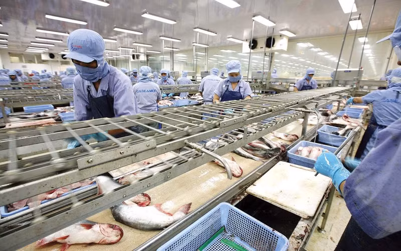 Photo d'illustration: baodautu