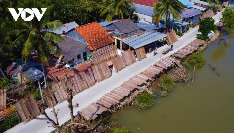 À Thuan Hung (à plus de 40 km de Hô Chi Minh-Ville), les visiteurs peuvent découvrir les plateaux de galettes de riz séchés, un tableau rural typique. Photo: VOV