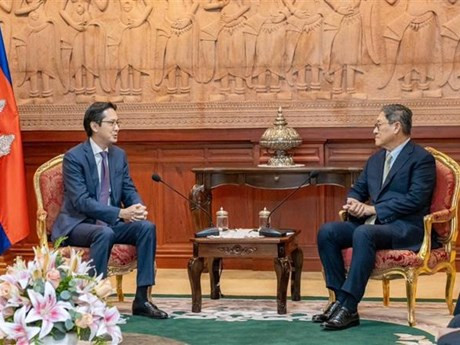 Le vice-ministre vietnamien des Affaires étrangères Do Hung Viet (gauche) et le secrétaire d'État du ministère cambodgien des Affaires étrangères et de la Coopération internationale Soeung Rathchavy. Photo : VNA