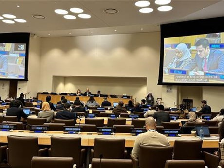 L'ambassadeur Dang Hoang Giang, chef de la mission permanente du Vietnam auprès de l'ONU. Photo : VNA.