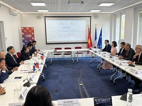Séance de travail entre la délégation de Nam Dinh et le Mouvement des entreprises de France. Photo: VNA