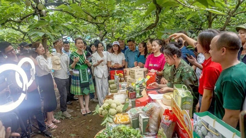 La vente en ligne se développe fortement à Thai Nguyen. Photo : NDEL