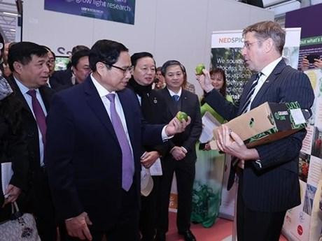 Le Premier ministre Pham Minh Chinh au World Horti Centre, aux Pays-Bas. Photo : VNA.