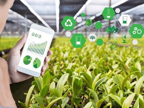 Photo d'illustration : vneconomy.vn