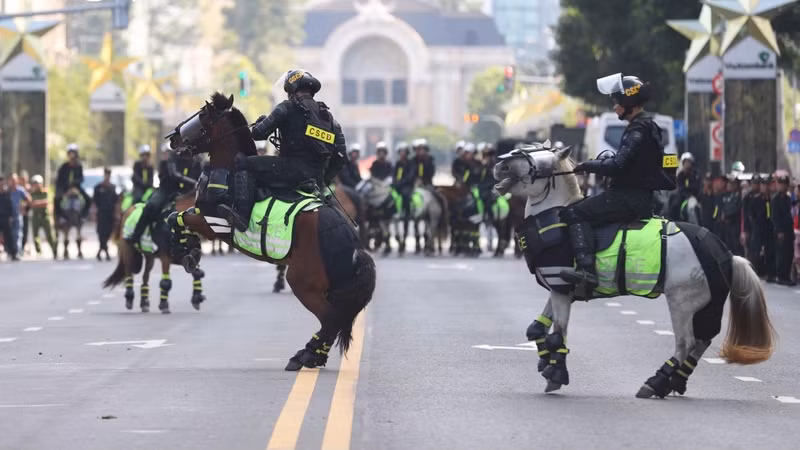 Le cheval se dresse sur ses deux pattes avant pour attaquer, montrant ainsi sa puissance. Photo : VOV.