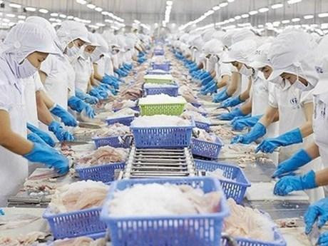 Le Vietnam parmi les plus principaux fournisseurs de produts aquatiques des Etats-Unis. Photo : VNA.
