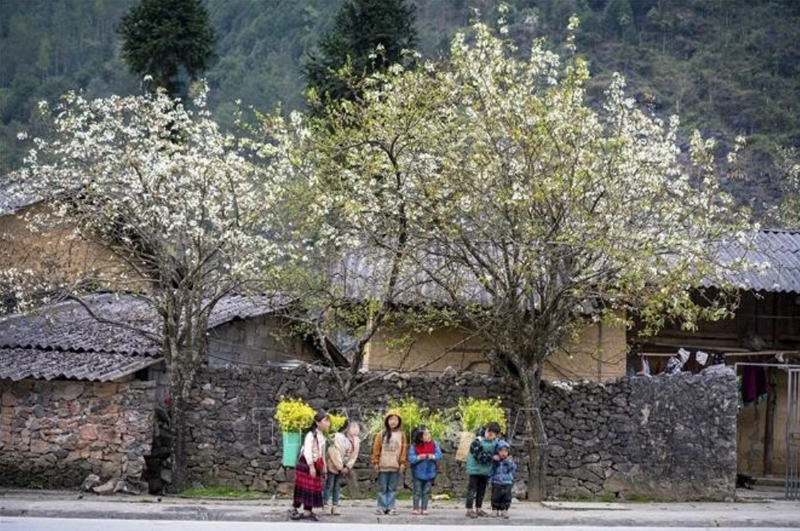 La beauté des gens et les magnifiques paysages sont des attractions pour les touristes à Ha Giang. Photo : VNA.