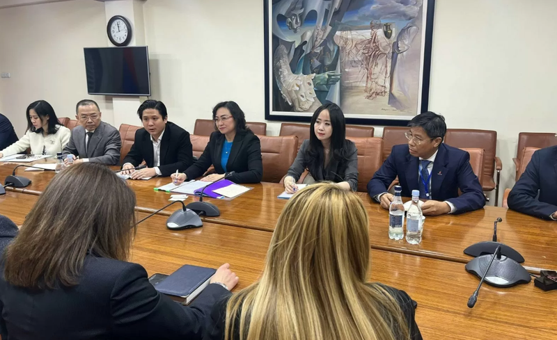 La vice-ministre de l'Industrie et du Commerce, Phan Thi Thang, lors de la séance de travail avec Edgar Zakaryan, vice-ministre de l'Économie d'Arménie, et des représentants du ministère des Affaires étrangères et du Bureau de l'Assemblée nationale d'Arménie. Photo: congthuong.vn