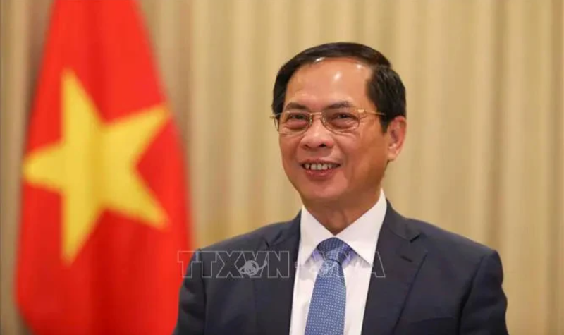 Le vice-Premier ministre et ministre des Affaires étrangères Bui Thanh Son. Photo : VNA.
